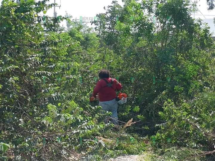 Realizan nuevo operativo de búsqueda por adolescente desaparecido hace 7 años en Cancún