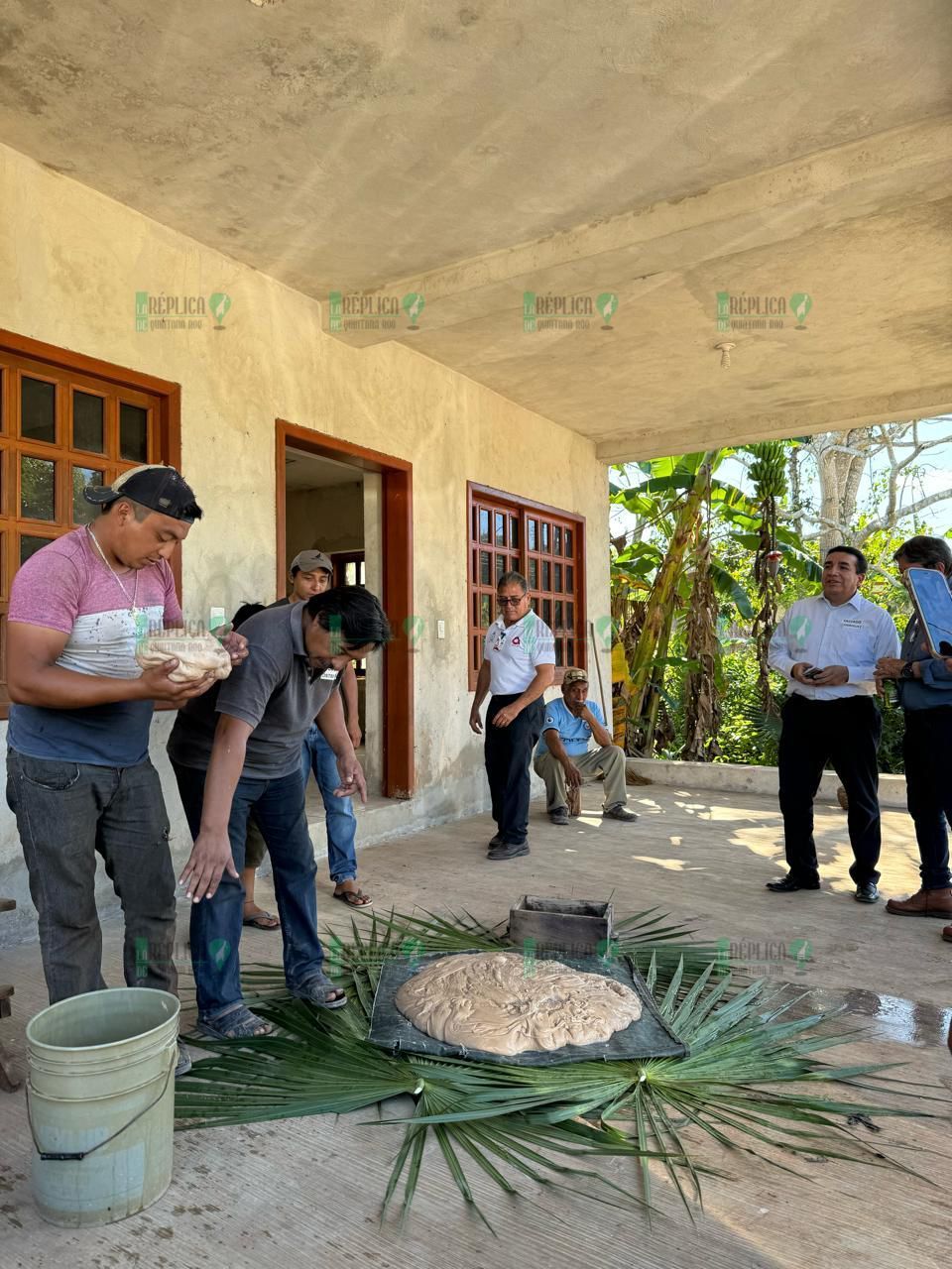 Obtiene Quintana Roo denominación de origen del chicle maya