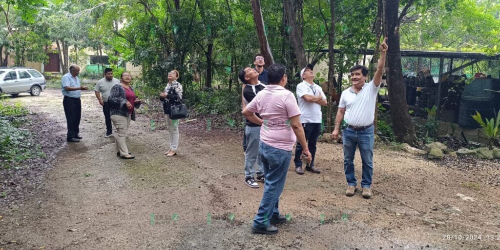 SEMA y ECOSUR imparten curso-taller “Identificación de árboles: Técnicas prácticas y efectivas”