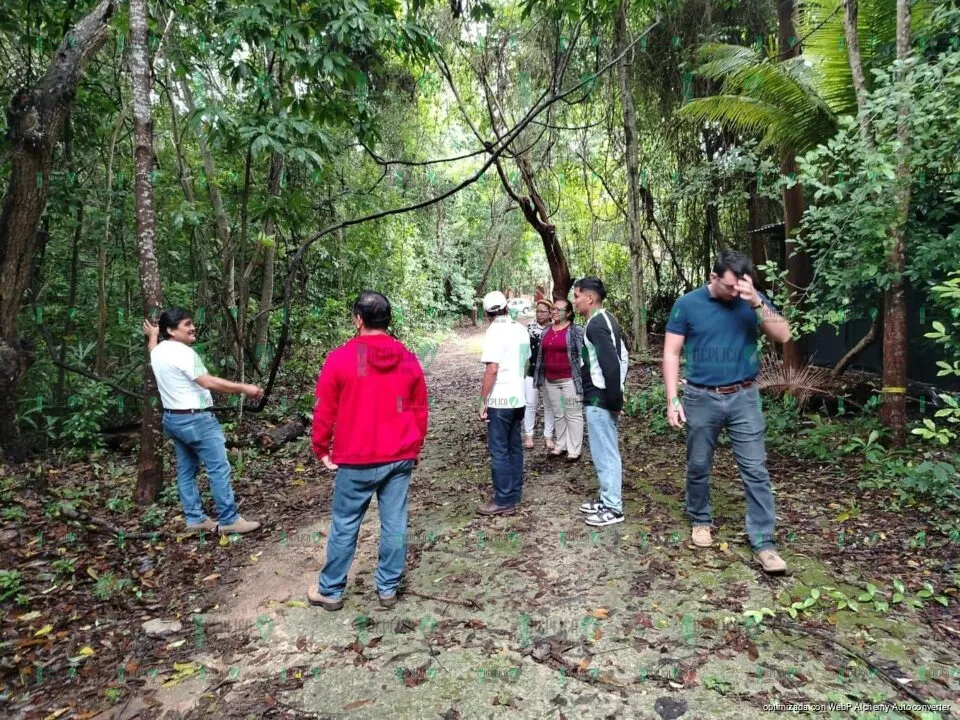 SEMA y ECOSUR imparten curso-taller “Identificación de árboles: Técnicas prácticas y efectivas”