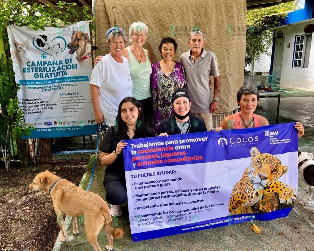 Exitosa jornada de esterilización y atención medica veterinaria gratuita, en Punta Allen: IBANQROO