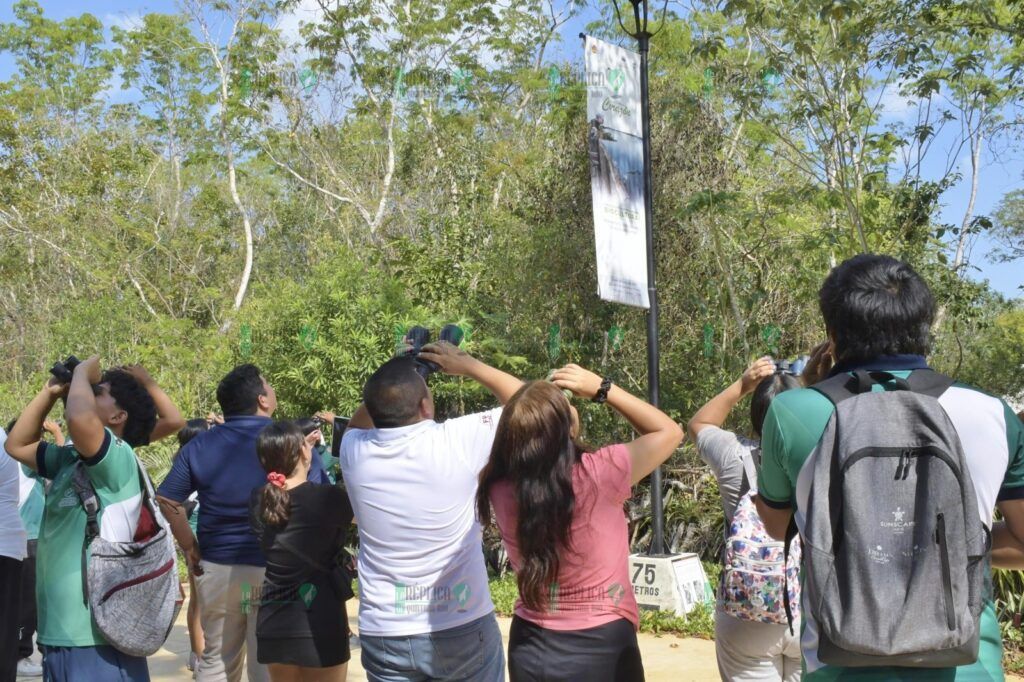 La FPMC invita a la jornada de observación “Las Aves y su Paso Migratorio Urbano”