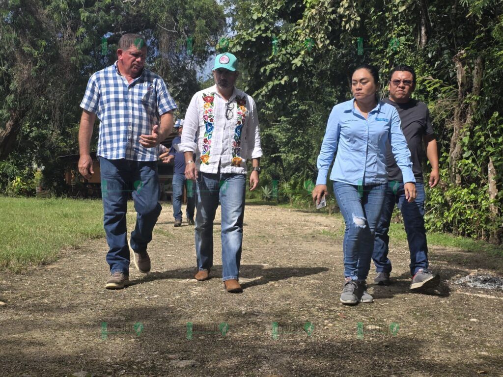 Con la certificación de granjas acuícolas y pesca se fortalece las cadenas productivas y de comercio de ambos sectores en Quintana Roo: SEDARPE