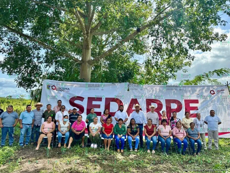 Arranca vacunación para prevenir septicemia en hato ganadero de Quintana Roo: SEDARPE