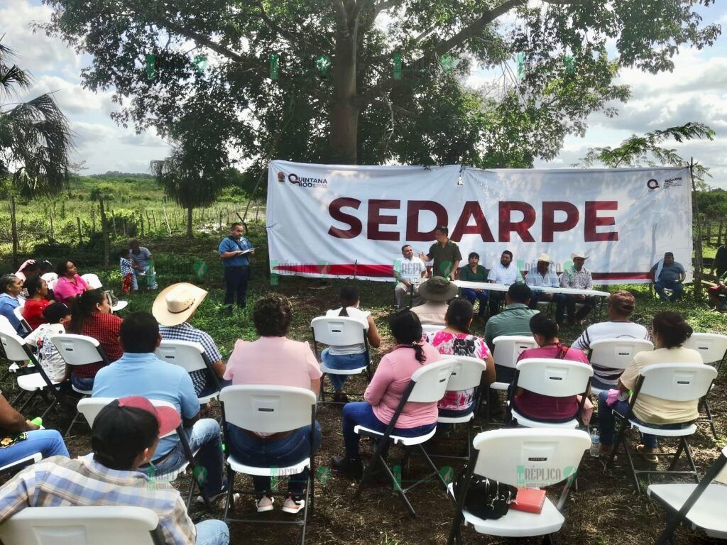 Arranca vacunación para prevenir septicemia en hato ganadero de Quintana Roo: SEDARPE