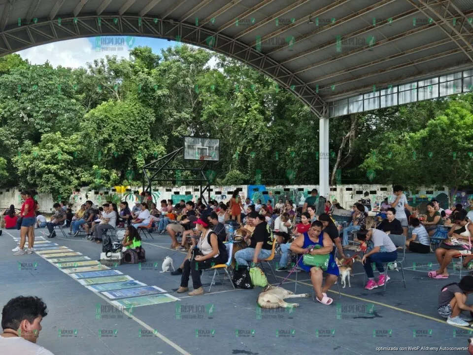 Concluye con gran éxito la Campaña Anual de Esterilización Canina y Felina en Playa del Carmen