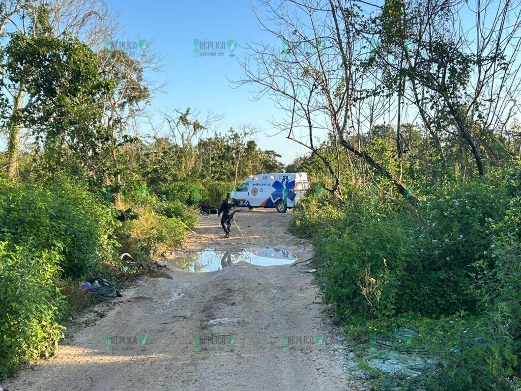 Hallan cuerpos ejecutados cerca del relleno sanitario de Playa del Carmen