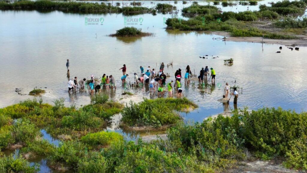 Parque Ecoturístico Punta Sur recibió a más de 3 mil 400 alumnos que participaron en programas educativos y de conservación