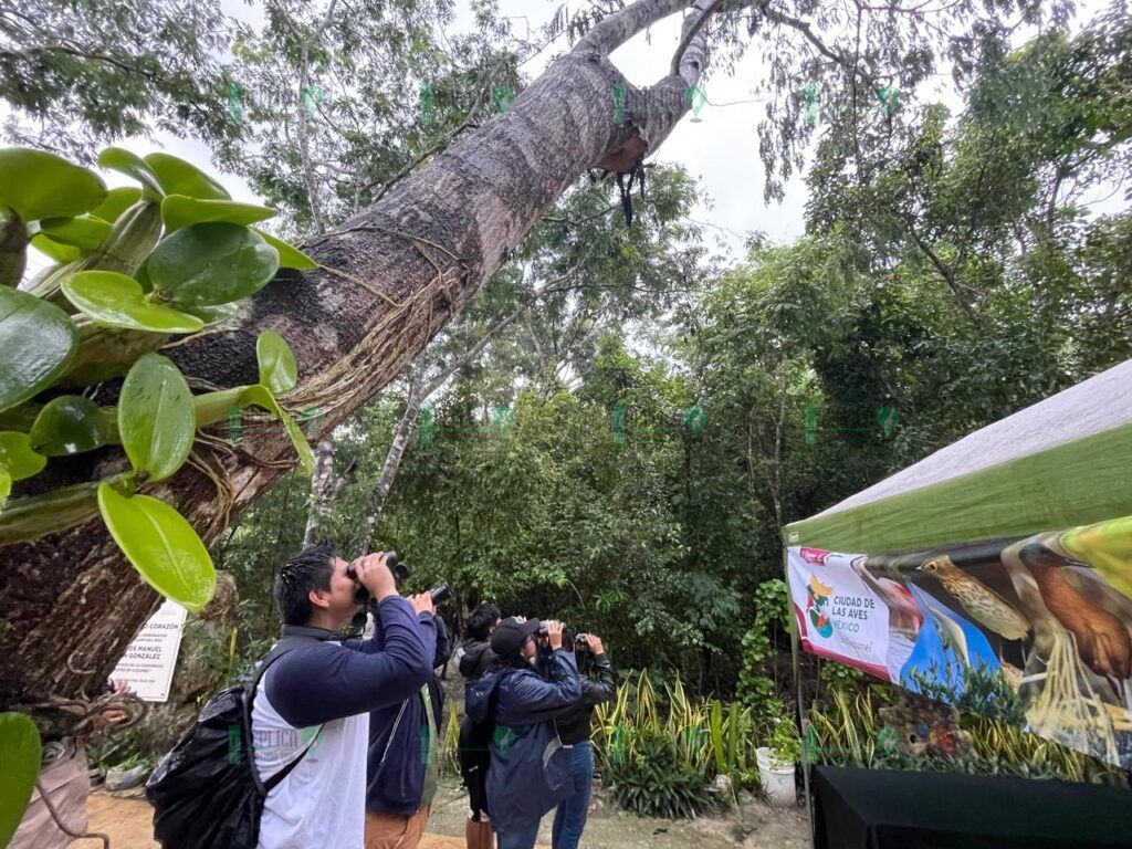 Invita la FPMC a la ciudadanía a participar en la jornada de observación “Las Aves y su Paso Migratorio Urbano”