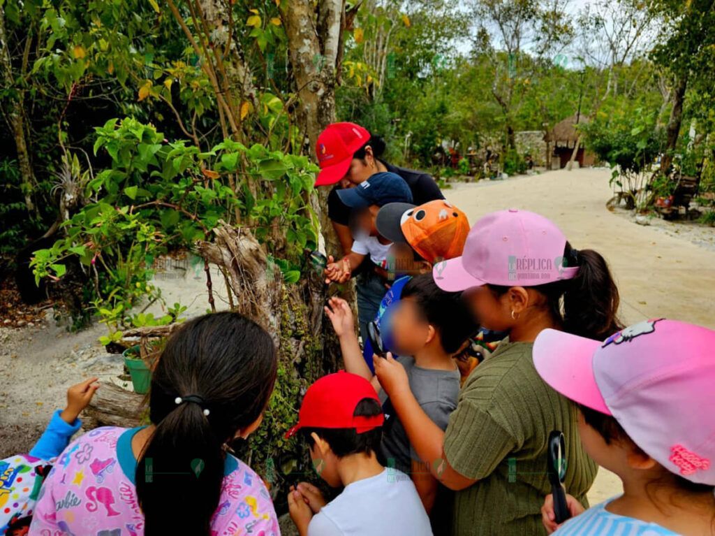 Invita la FPMC a “Descubriendo las Alas de Cozumel, Aves y Fauna de la Isla” para celebrar y proteger la biodiversidad de la Isla