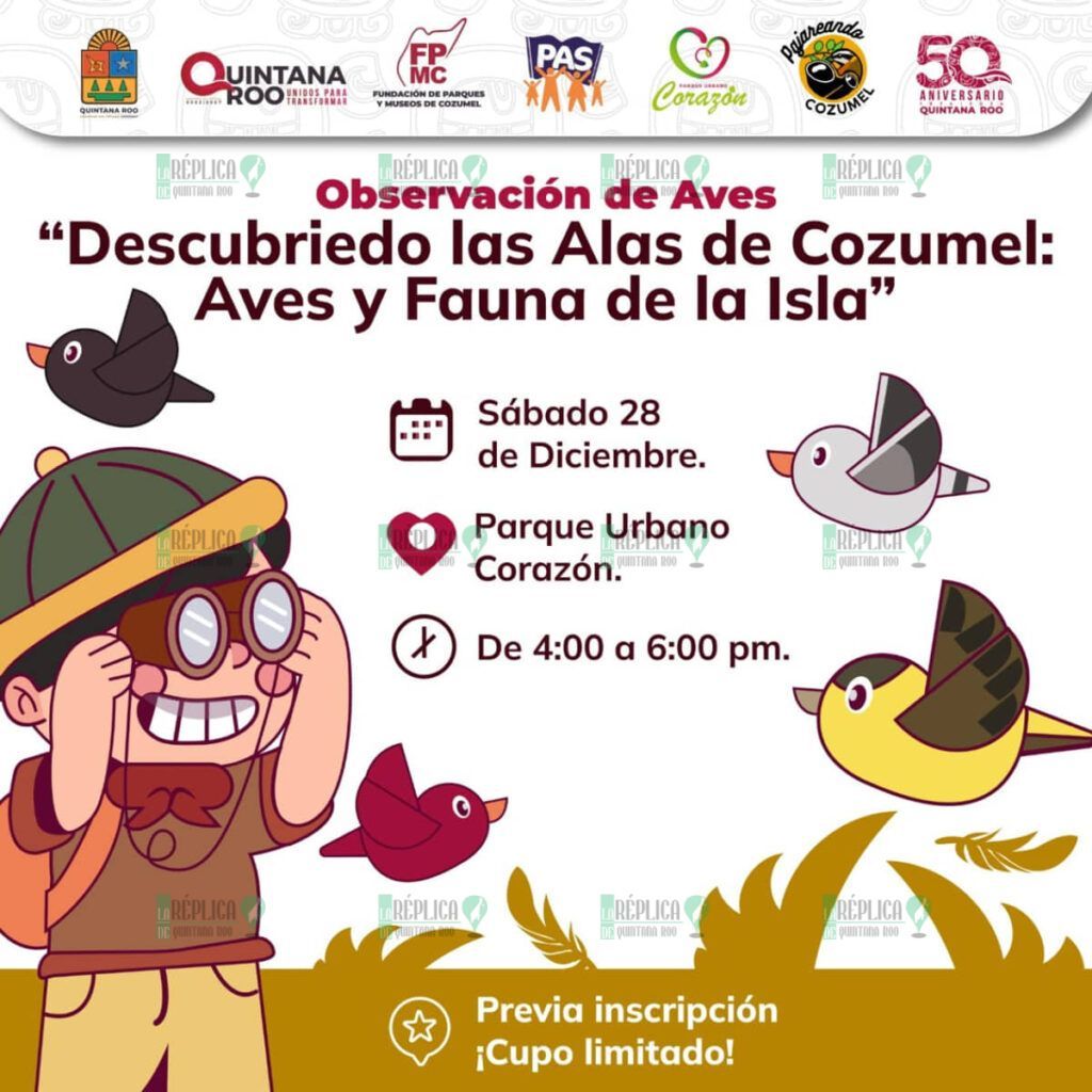 Invita la FPMC a “Descubriendo las Alas de Cozumel, Aves y Fauna de la Isla” para celebrar y proteger la biodiversidad de la Isla