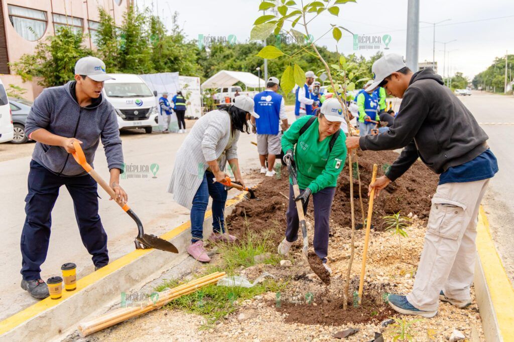 Gobierno de Tulum lleva a cabo la tercera etapa del programa Arborización en avenida La Selva