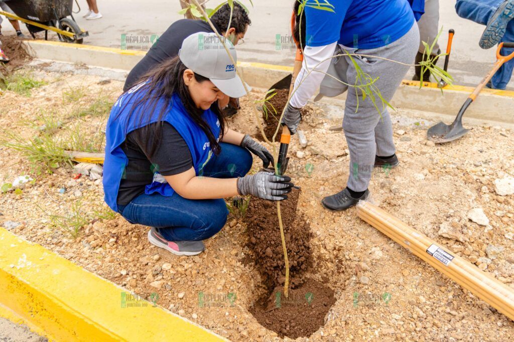 Gobierno de Tulum lleva a cabo la tercera etapa del programa Arborización en avenida La Selva