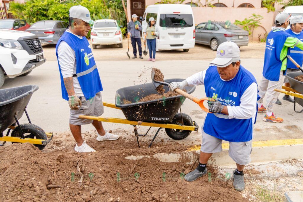 Gobierno de Tulum lleva a cabo la tercera etapa del programa Arborización en avenida La Selva