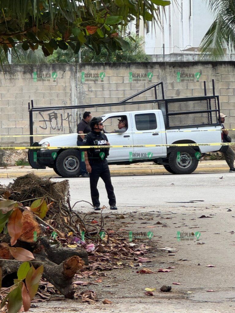 Frenan intento irregular de desalojo en Playa del Carmen