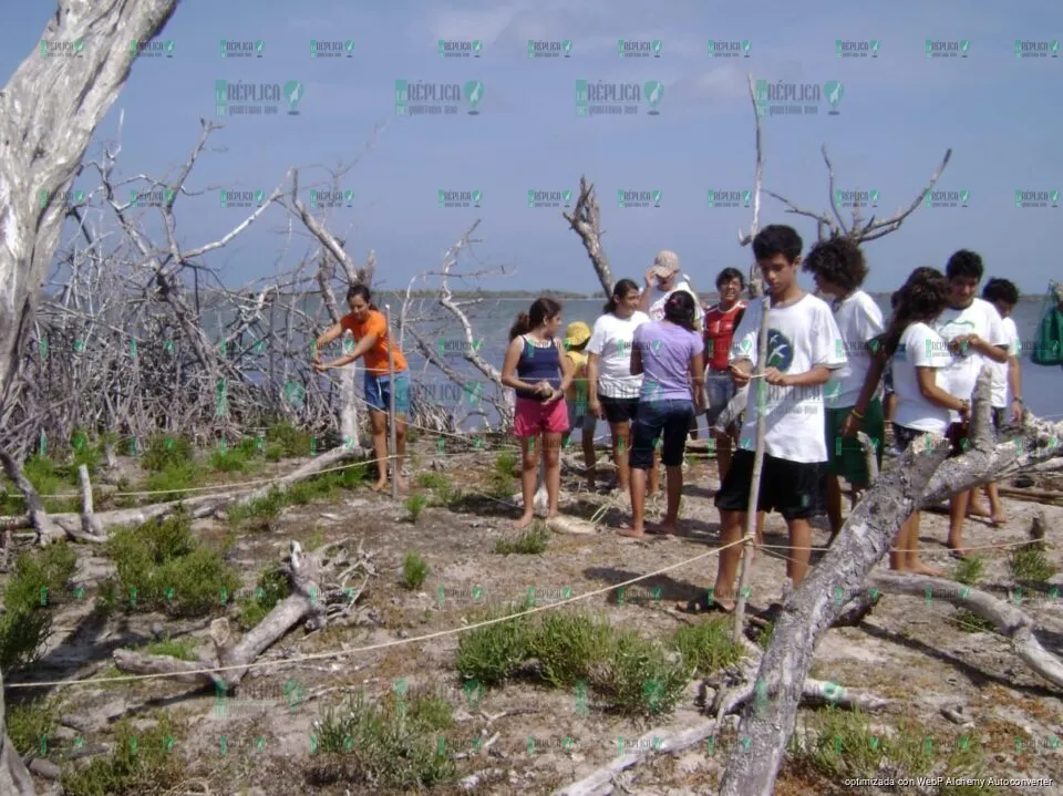 Regreso de especies a Punta Sur: un triunfo de la restauración ecológica