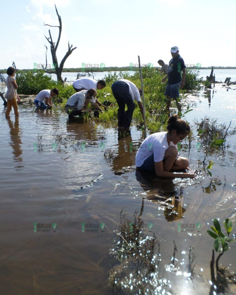 Regreso de especies a Punta Sur: un triunfo de la restauración ecológica