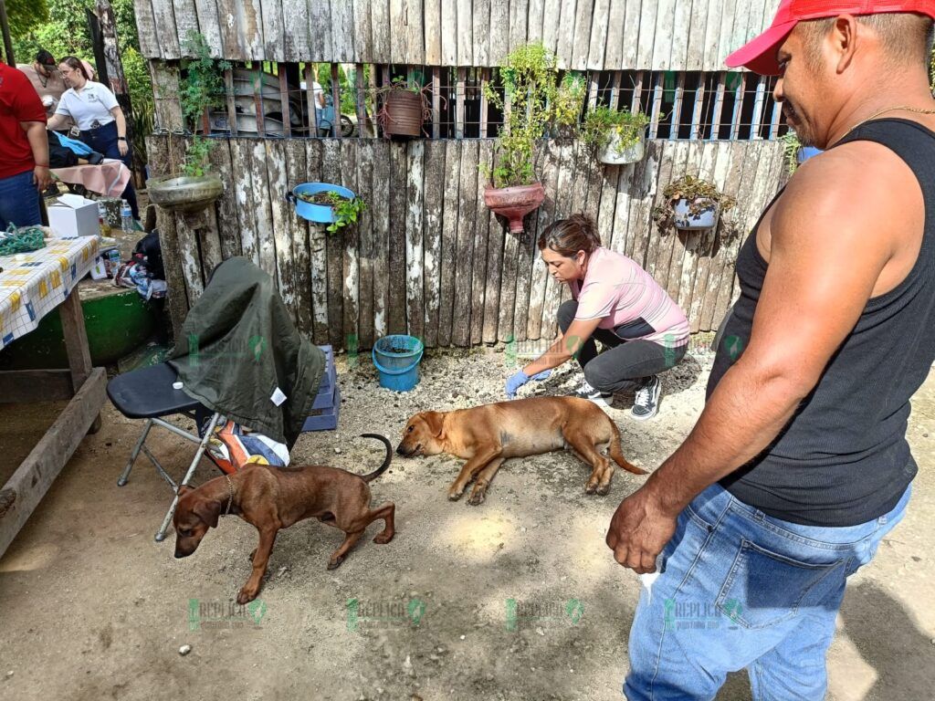 Llevan el programa acercamiento ciudadano a la zona agrícola de Puerto Morelos