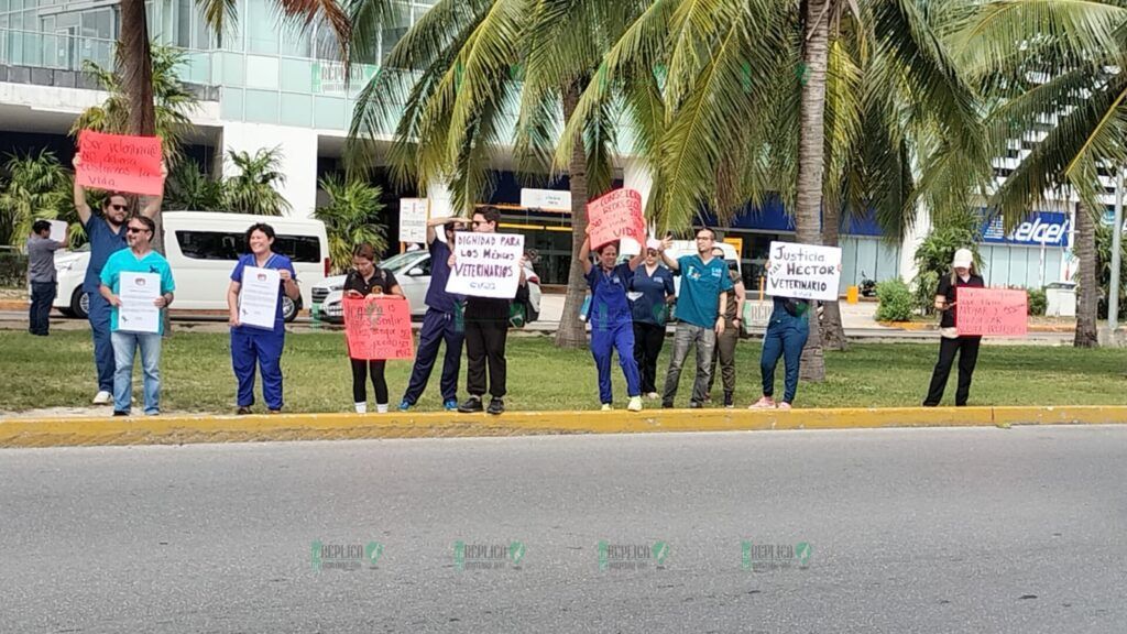 Marchan veterinarios en Cancún, por asesinato de colega