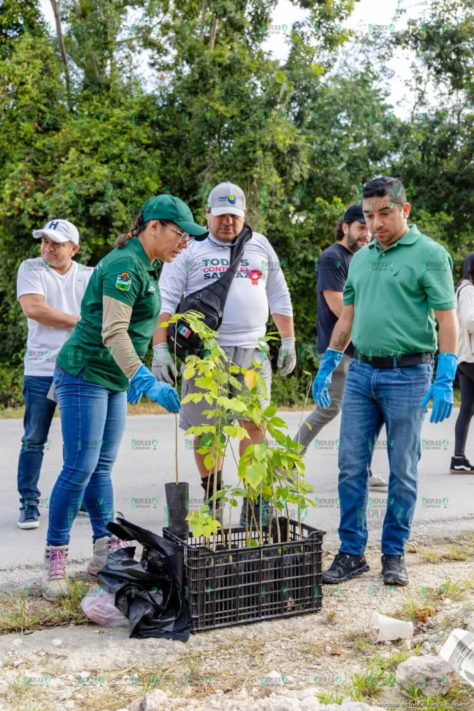 Culmina arborización en avenida La Selva