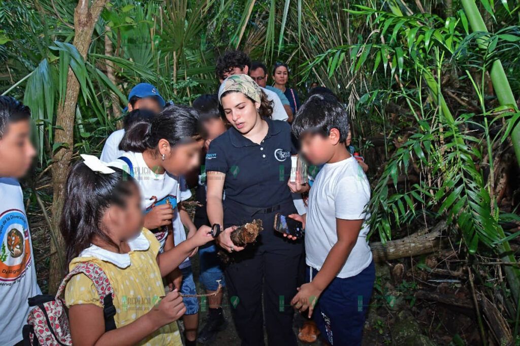 Acerca FPMC y el Planetario Cha’an Ka’an a la niñez al mundo de los hongos