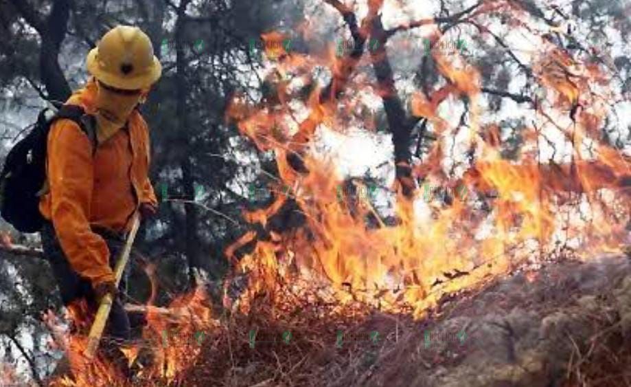 Advierten ‘mano dura’ a ejidatarios, previo a temporada de incendios