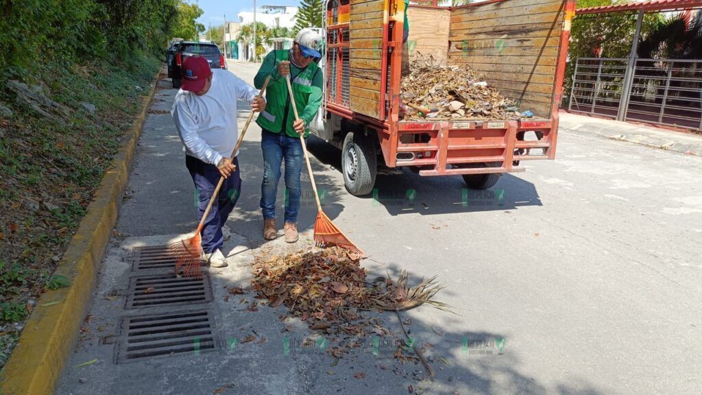 Acciones contundentes de servicios públicos en Puerto Morelos