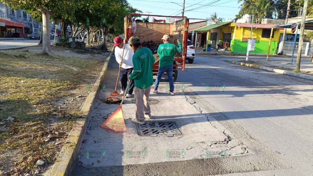 Acciones contundentes de servicios públicos en Puerto Morelos